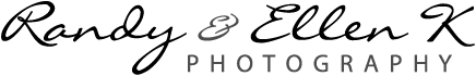 Site Title