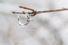 A beautiful snowy engagement shoot at Lapham peak state park in Delafield, WI