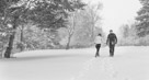 A beautiful snowy engagement shoot at Lapham peak state park in Delafield, WI