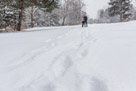 A beautiful snowy engagement shoot at Lapham peak state park in Delafield, WI