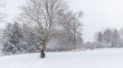 A beautiful snowy engagement shoot at Lapham peak state park in Delafield, WI