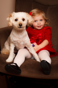 A beautiful family portrait christmas shoot in West Allis, WI - Randy K Photography